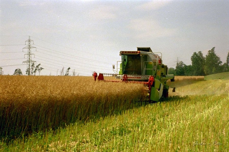 Claas Drescher 38